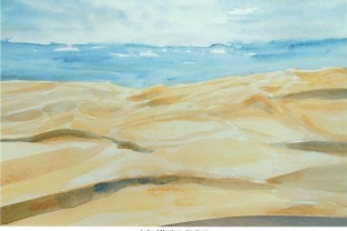 005 - Le dune di Maspalomas - Gran Canaria